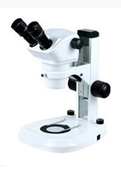 microscope NSZ606
